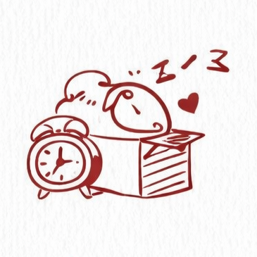 Domingo sem despertador ⏰